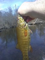 20190421Smallie.jpg