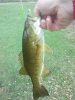 20190502Smallie.jpg