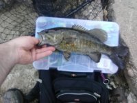 20190506Smallie1.jpg