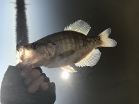 IMG_1646.JPG
