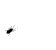 buggif.gif