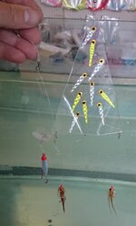 28910811hg.jpg 28910811hg.jpg