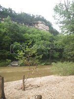 IMGP1268_zpskoqi1yac.jpg IMGP1268_zpskoqi1yac.jpg