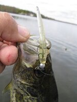 clear stick crappie.JPG clear stick crappie.JPG