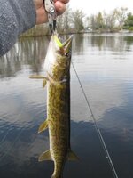 IMG_0494.JPG IMG_0494.JPG