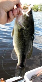 IMG_0253.JPG IMG_0253.JPG