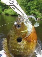 clear pastic swimbait.jpg clear pastic swimbait.jpg