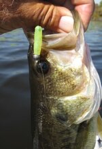 IMG_0652.JPG IMG_0652.JPG