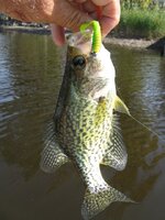 IMG_0640.JPG IMG_0640.JPG