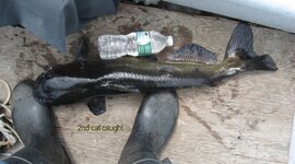 IMG_0247_2.JPG