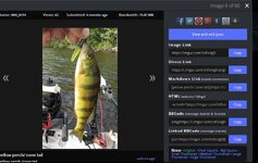 imgur photo.JPG imgur photo.JPG