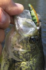 IMG_0679.JPG IMG_0679.JPG