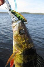 IMG_0685.JPG IMG_0685.JPG