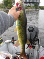 IMG_0719.JPG IMG_0719.JPG