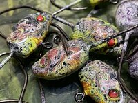 IMG_5047.JPG