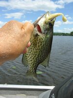 IMG_9717.JPG IMG_9717.JPG