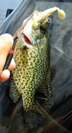IMG_9718.JPG IMG_9718.JPG