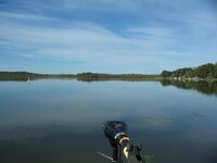 IMG_0050.JPG IMG_0050.JPG