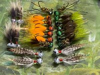 IMG_6264.JPG