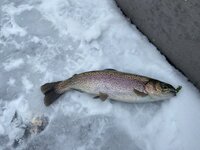 IMG_6629.JPG