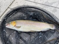 IMG_6583.JPG