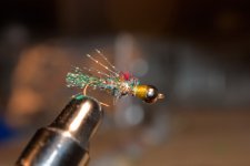 IMG_7667.jpg