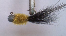 AtticaFish1.jpg
