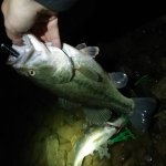 20180328_221413.jpg