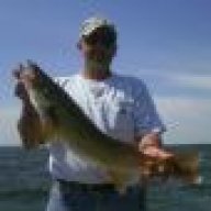 Gillfisher