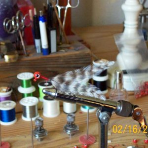 100_1611.JPG