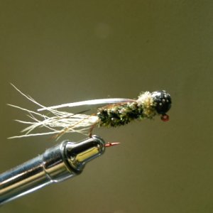 DSCN0618.JPG