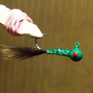 01 cut shrunk 50 percent.JPG