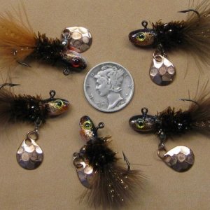Copperhead Chub 002.JPG