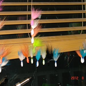 DSC09639.JPG
