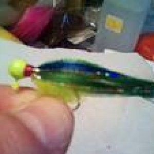 tnpond bluegill.jpg