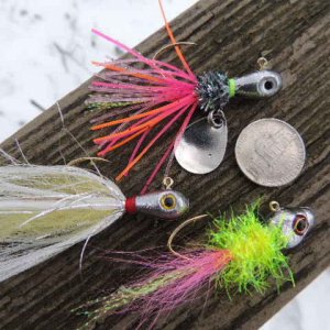 Media 'DSCN1581.JPG' in category 'Jig Pics / Recipes'