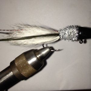 Media 'ImageUploadedByTapatalk1423976005.733587.jpg' in category 'Jig Pics / Recipes'