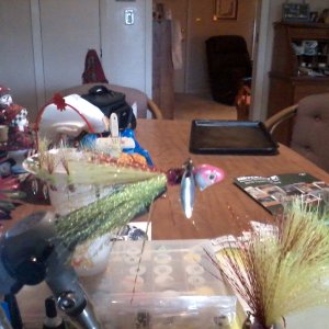 1226151519-00.jpg