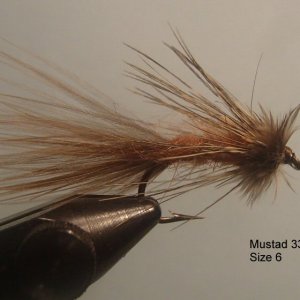20161226GartsideSparrowSize6.JPG