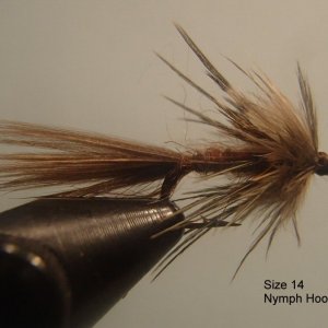 20161226GartsideSparrowSize14.JPG