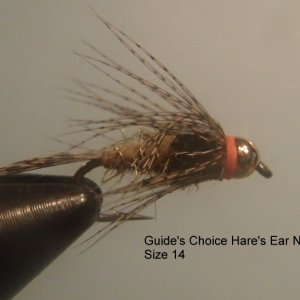 20161227GuidesChoiceHaresEar.JPG