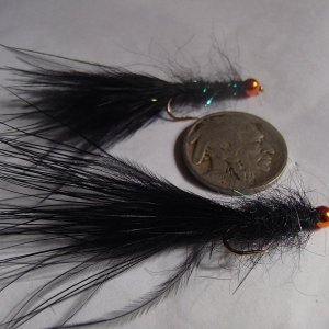 20180225TungstenEggSuckingLeech.JPG