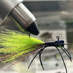 IMG_1755.jpeg