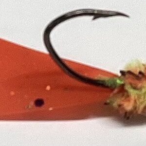 IMG_2353.jpeg